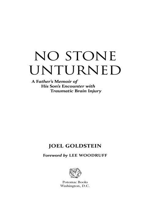 Title details for No Stone Unturned by Joel Goldstein - Available